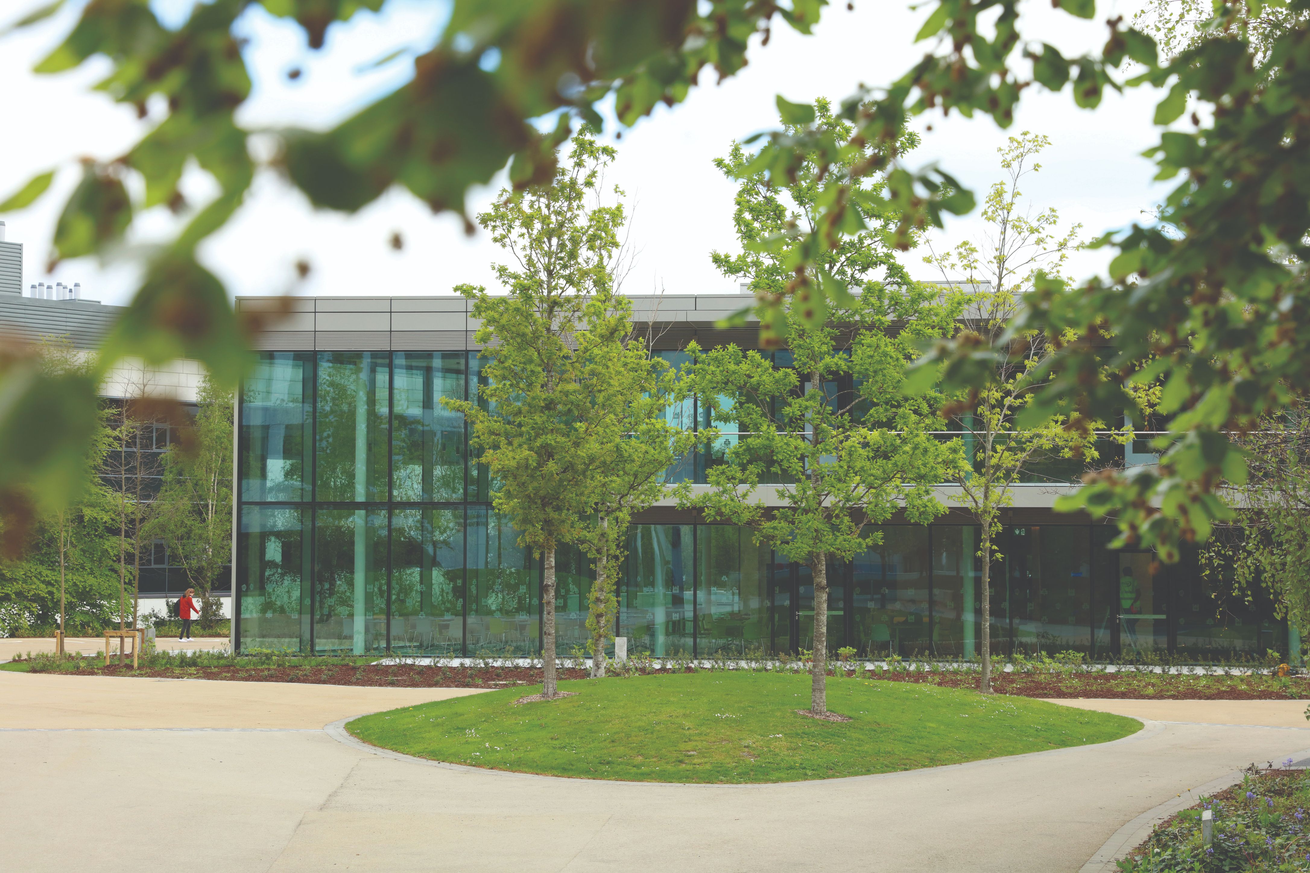 Join us by the Lake - UCD Connections