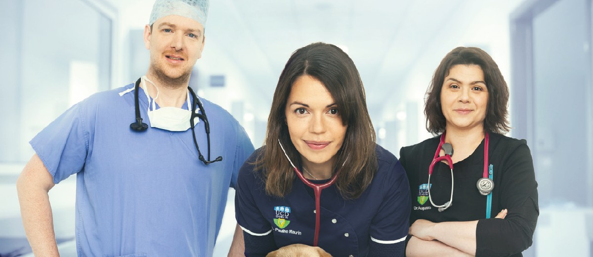 College Highlights 20202021 UCD Connections