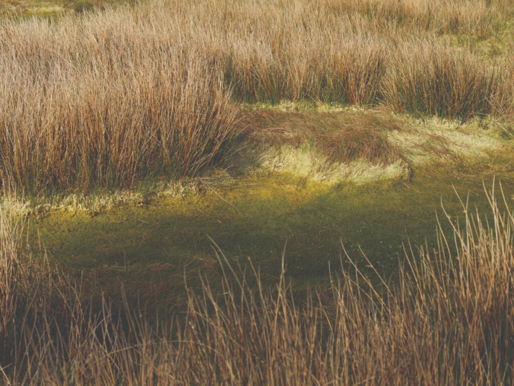 Mayo’s Wild Nephin National Park spans 15,000 hectares of pristine Atlantic blanket bog and the Nephin Beg Mountains.
