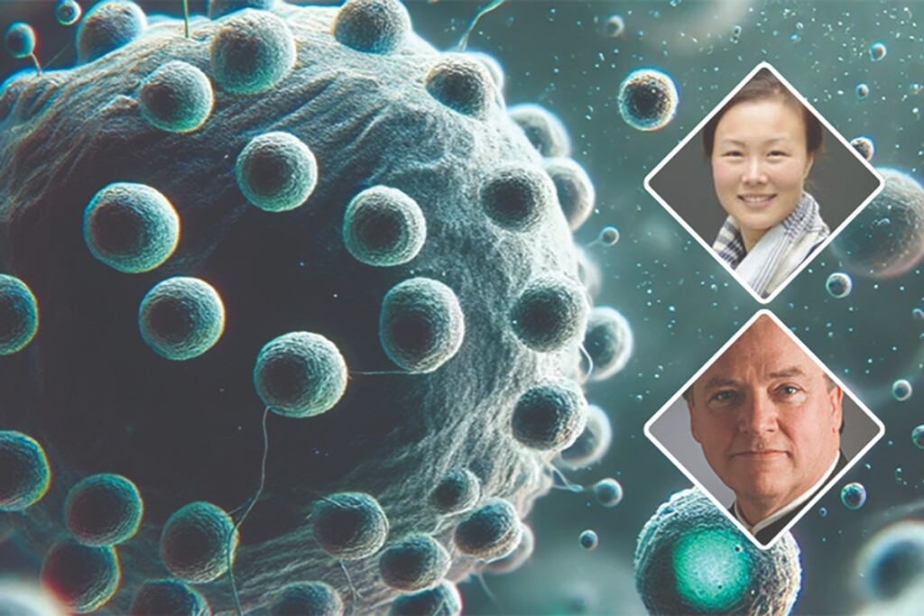 Assoc. Prof. Yan Yan, UCD School of Biomolecular and Biomedical Science and Fellow at UCD Conway Institute, and Prof. Kenneth Dawson, Director of Centre for BioNano Interactions, Conway Fellow, and Chair of Physical Chemistry at UCD School of Chemistry.